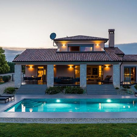 Villa Labin In Zartinj - Luxury Privacy Heated Pool With Auto Cover Eksteriør billede